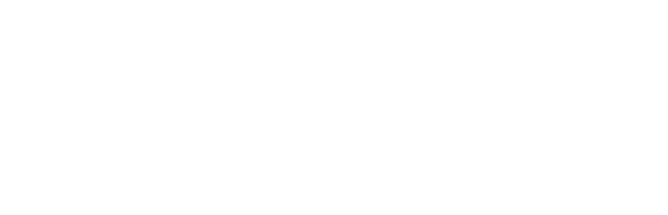 Globe effective shopper experience